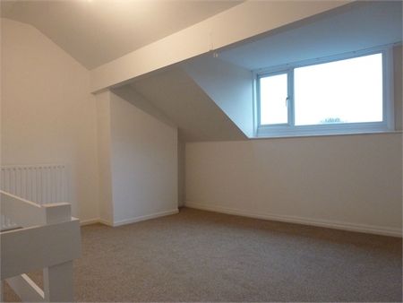 Howard Street - Photo 5