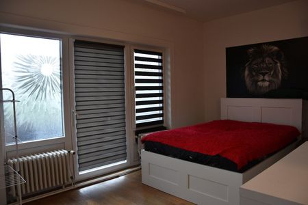 Ruim appartement met 3 slaapkamers - Photo 4