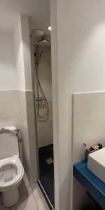 Location Appartement 1 pièce 17m² ANGERS 49000 - Photo 4
