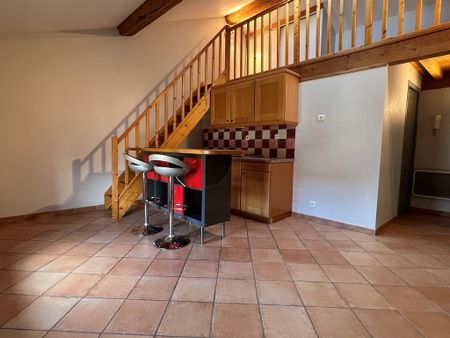 Location Appartement 1 pièce 25m² CHAMPAGNE AU MONT D OR 69410 - Photo 2