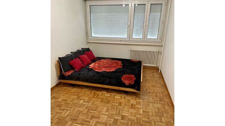 3 Zimmer-Wohnung in Grand-Lancy (GE), möbliert - Foto 5