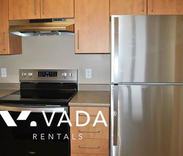 Unfurnished, 1 Bed 1 Bath Apartment For Rent - Photo 5