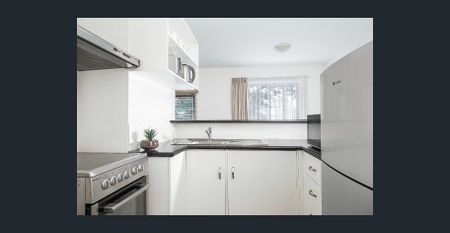 Furnished Apartment Stay for 1 month plus. Weekly service, Cable & No Bills Ever. - Photo 2