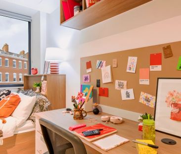 Bronze Studio - Photo 5