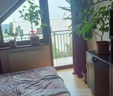 Pronájem bytu pokoj 23 m2 - Photo 5
