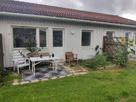 Kalknäsvägen, Undrom - Foto 5