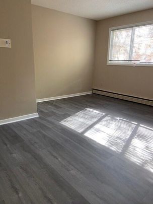 1 BDRM/1 BATH - 422 4TH AVE N - Available NOW! *RENT SPECIAL* - Photo 1