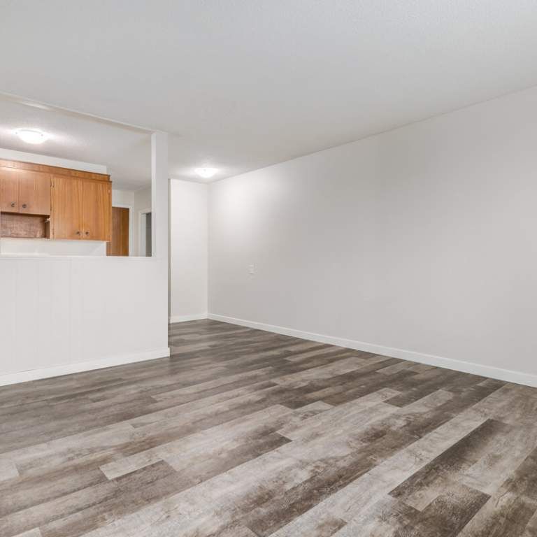 Renovated Suite - 1 Bedroom - Photo 1