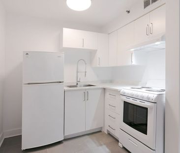 25 Avenue des Pins O, Montréal, QC - Photo 3