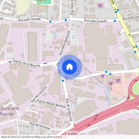 9 RUE PASTEUR, LYON 7EME ARRONDISSEMENT Pasteur