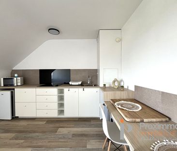 Location Appartement 1 pièce 27m² - Photo 3