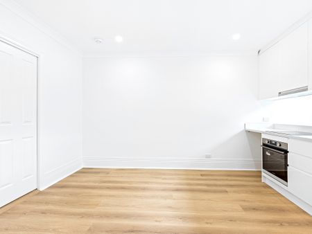 12 Burton Street, Glebe NSW 2037 - House For Rent | Domain - Photo 2