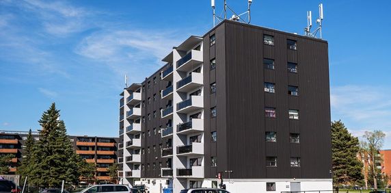 Bloor Street Apartments - Photo 2