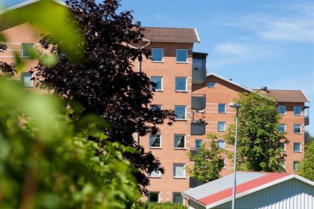 Plogvägen 103 - Photo 4