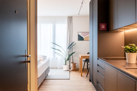 1.5 Zimmerwohnung - lichtdurchflutetes Apartment mit Sicht in die Alpen - Foto 2