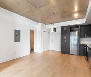 Appartement à louer - Montréal (Ville-Marie) (Centre) - Photo 1