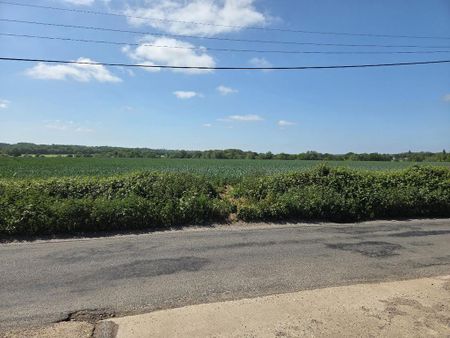 1 bedroom bungalow to rent - Photo 2