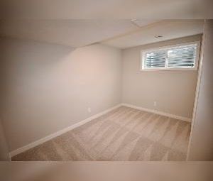 1 Bed 1 Bath Suite SE Edmonton Mattson - Photo 5