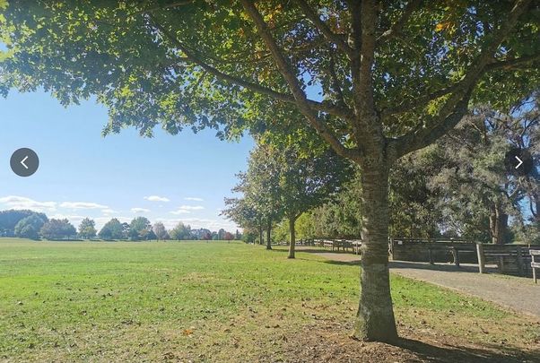 Nice and new - Photo 1