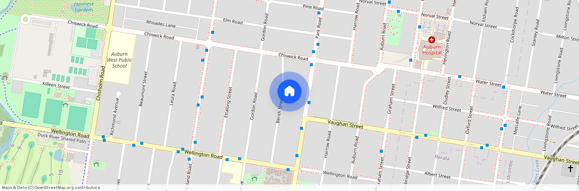 20A Berith Street, Auburn NSW 2144