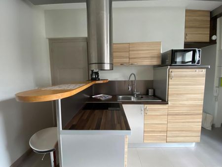 Location Appartement 1 pièce 23m² DIJON 21000 - Photo 4