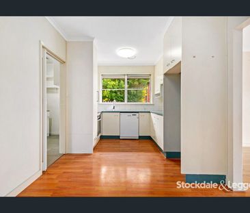 Beautiful yards. - Photo 6