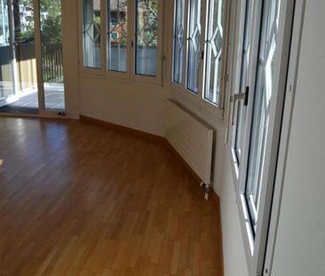 Charmante, sonnige u. helle 3 Zi. Whg. mit Wintergarten zu vermieten - Photo 2