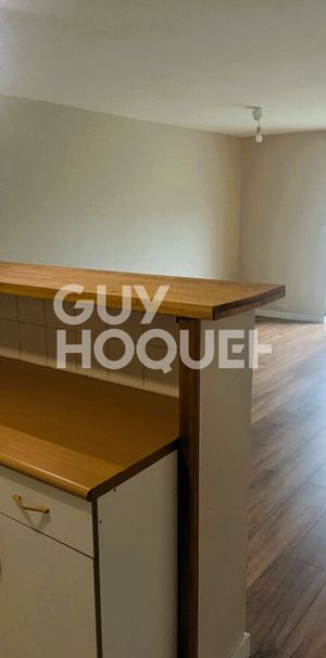 Appartement Saint Cyr Sur Loire 2 pièce(s) 55.49 m2 - Photo 1