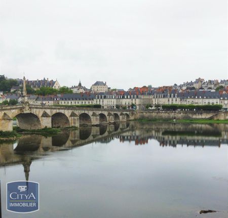 Location Appartement 1 pièce 40m² BLOIS 41000 - Photo 4