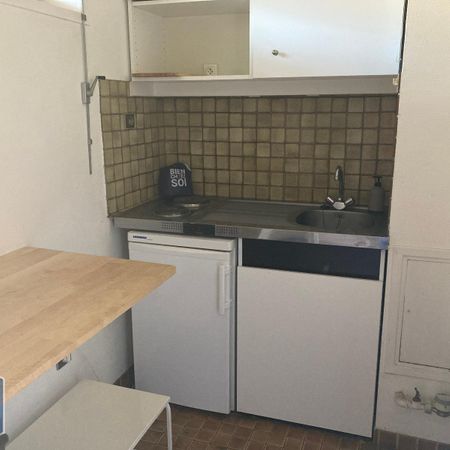 Location Appartement 1 pièce 24m² GRENOBLE 38000 - Photo 3