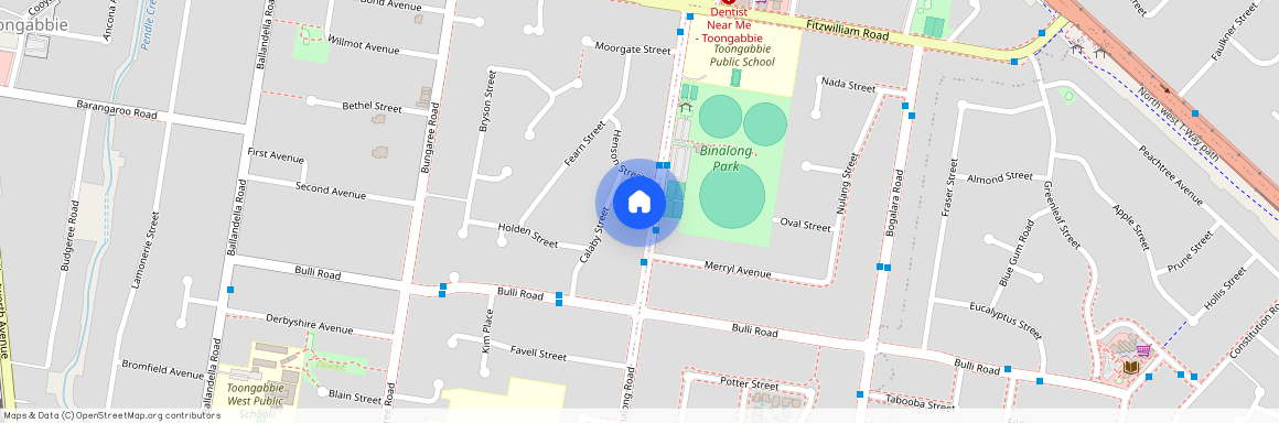 132 Binalong Rd, NSW 2146, Toongabbie
