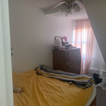 One bedroom apartment on High Park Blvd - Photo 3