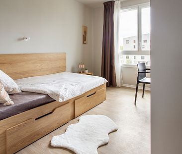 Chambre coloc' avec salle d'eau de 18m² - Photo 3