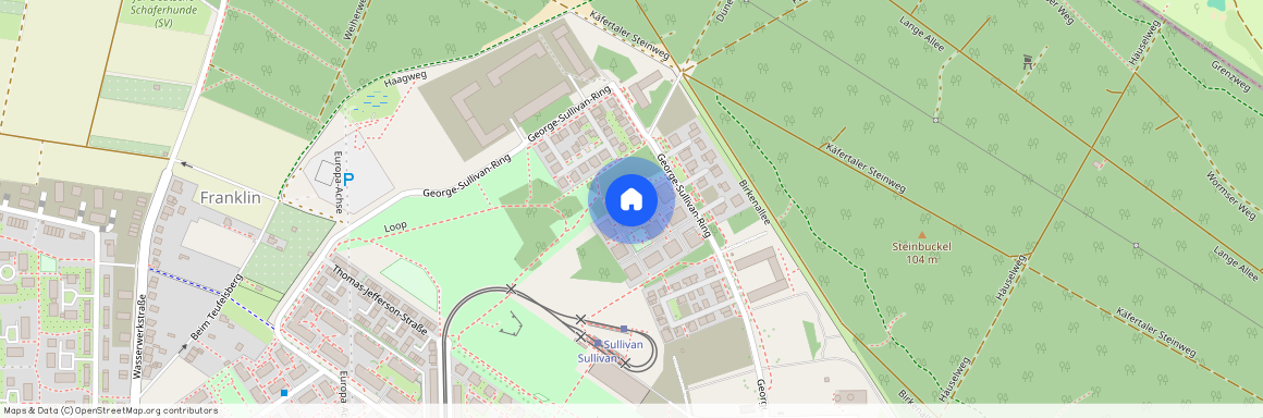 George-Sullivan-Ring 34, 68309, Mannheim