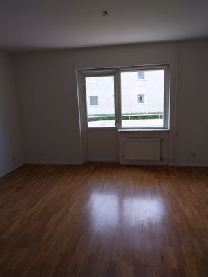 Petreplan 13A - Foto 1