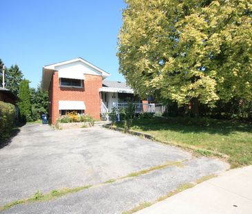 For Lease - 54 Beacham Crescent Unit# Lower, Toronto, Ontario - Photo 6