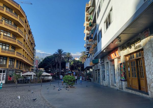 Piso En alquiler Calle Mequinez s/n, Distrito Playa Jardín, Puerto de la Cruz