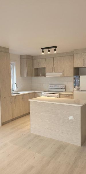 Luxueux condo neuf et moderne 3 1/2 Métro PIE-IX à louer Montréal - appartement / logement - Photo 1