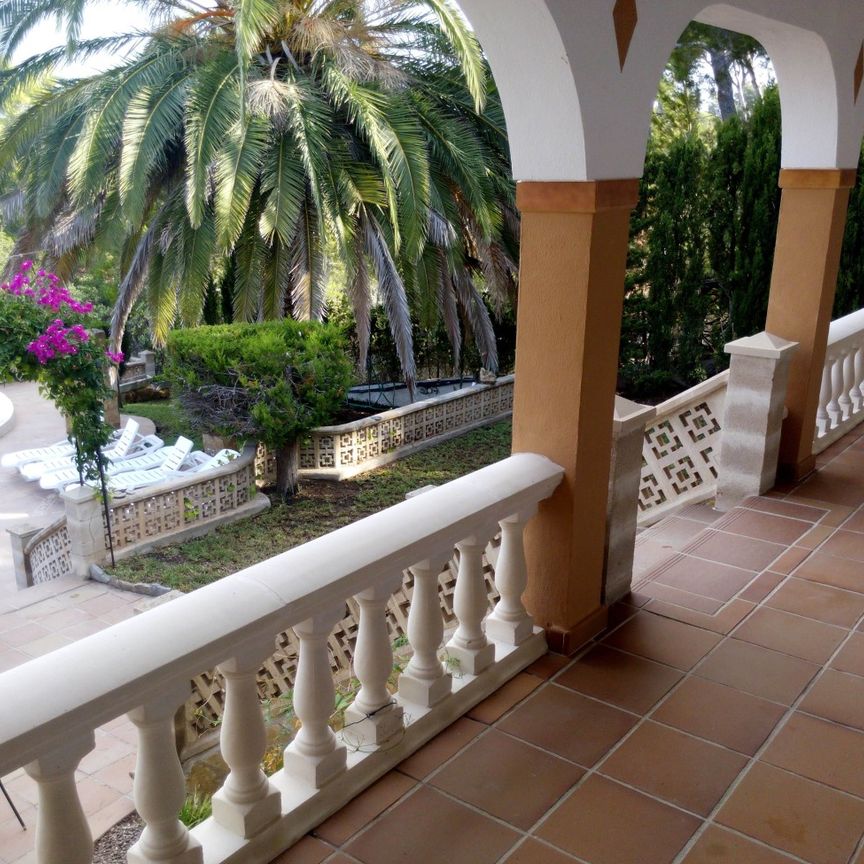 Spacious villa for SALE and LONG TERM LET located in Santa Ponsa - Photo 1