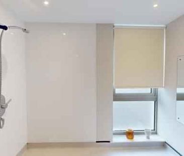 Premium Studio Accessible - Photo 5