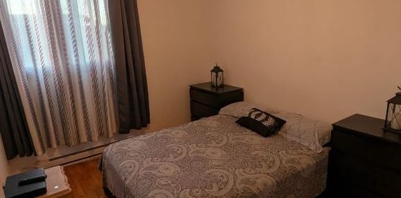 Triplex - Photo 2