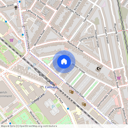 Llandough Street, CF24 4AW, Cathays