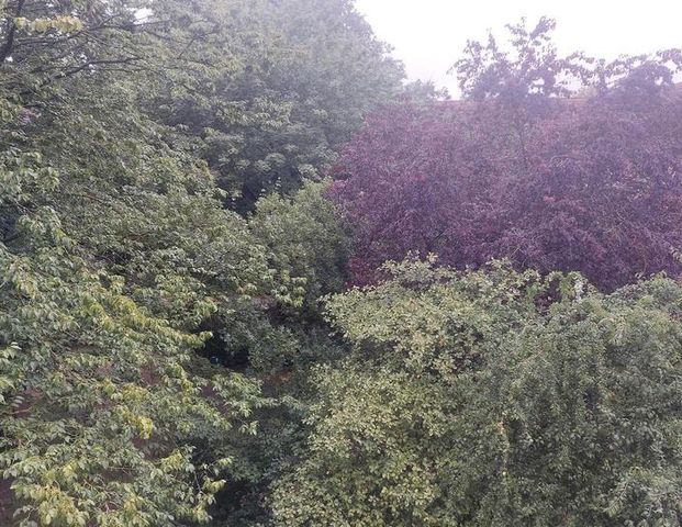 3 ZKB möbilliert beste Auteilung Aussicht Lage - Photo 1