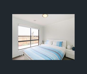 Spacious Family Living in the Heart of Torquay - Photo 3