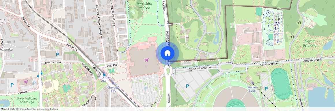 Parkowa, Centrum, Chorzów, śląskie