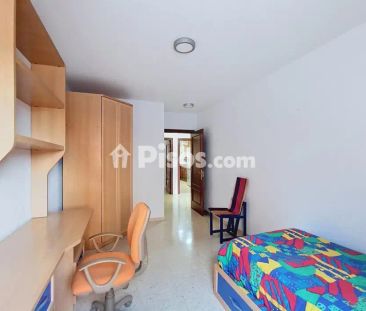 Piso en alquiler en Avenida del Profesor Domínguez Ortiz - Photo 6