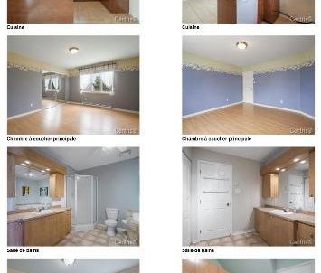 appât à louer - Photo 1