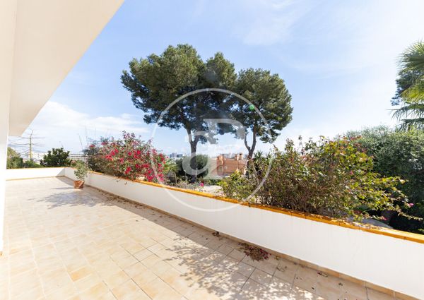 Ground floor apartment for rent in Palmanova