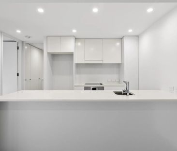 Modern Living in Prime Kingston Foreshore Location - Photo 6