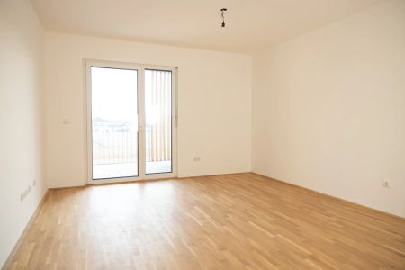 53,49qm 2Zi W-Gartenwohnung, Erstbezug, ökologische Bauweise - Foto 3